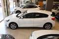 Ford Focus 1.5Ecoblue Trend+ 95 Bianco - thumbnail 8