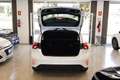 Ford Focus 1.5Ecoblue Trend+ 95 Bianco - thumbnail 12