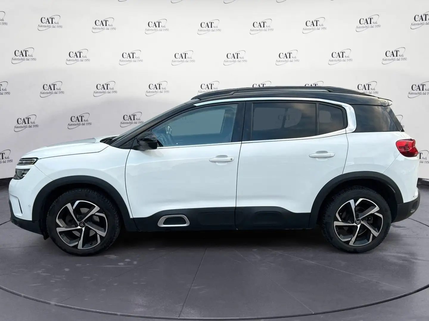 Citroen C5 Aircross C5 Aircross BlueHDi 130 Shine Bianco - 2