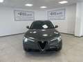 Alfa Romeo Stelvio 2017 2.2 t Lusso Q4 210cv auto Grigio - thumbnail 1