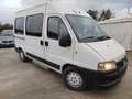 Fiat Ducato 9 POSTI 2.8JTD DE LUX GRAN TURISMO PATENTA B Weiß - thumbnail 4