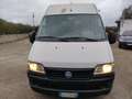 Fiat Ducato 9 POSTI 2.8JTD DE LUX GRAN TURISMO PATENTA B Weiß - thumbnail 3