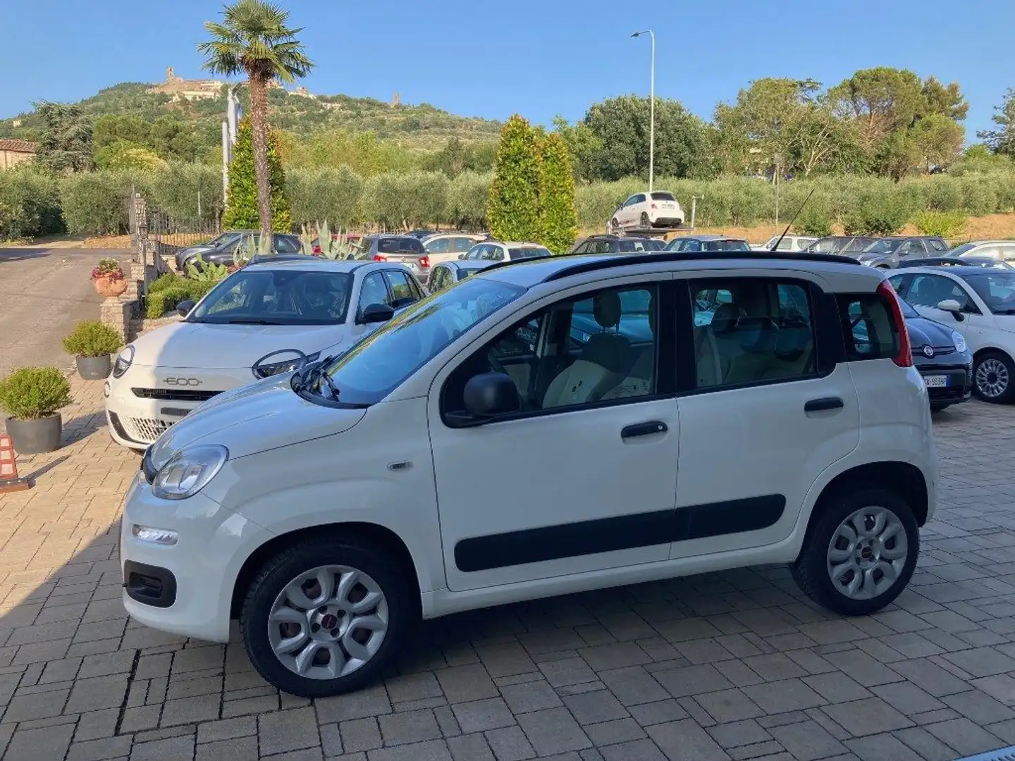 Fiat Panda 0.9 TwinAir Turbo Natural Power Easy Bianco - 1