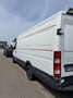 Iveco Daily 29 L 12 V DPF - thumbnail 3