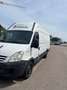 Iveco Daily 29 L 12 V DPF - thumbnail 1