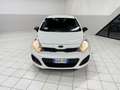 Kia Rio Rio 1.2 CVVT 5P EX (62 kw) Weiß - thumbnail 1