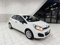 Kia Rio Rio 1.2 CVVT 5P EX (62 kw) Weiß - thumbnail 3