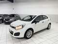 Kia Rio Rio 1.2 CVVT 5P EX (62 kw) Weiß - thumbnail 5