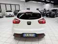 Kia Rio Rio 1.2 CVVT 5P EX (62 kw) Weiß - thumbnail 2
