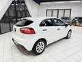 Kia Rio Rio 1.2 CVVT 5P EX (62 kw) Weiß - thumbnail 4