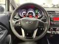 Kia Rio Rio 1.2 CVVT 5P EX (62 kw) Weiß - thumbnail 12