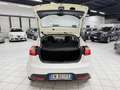 Kia Rio Rio 1.2 CVVT 5P EX (62 kw) Weiß - thumbnail 11