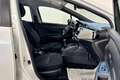 Nissan Micra IG-T 92 GPL 5 porte Eco Acenta Bianco - thumbnail 8