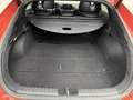 Kia ProCeed / pro_cee'd 1.5 T-GDi GT-Line , Schuif en Kanteldak, Adaptieve Oranje - thumbnail 25