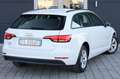 Audi A4 Avant 2.0 TDI 150 CV Wit - thumbnail 3