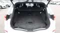 Ford Mondeo ST Line Aut LED Pano Leder Navi R.Cam AHK Weiß - thumbnail 17