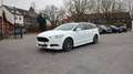 Ford Mondeo ST Line Aut LED Pano Leder Navi R.Cam AHK Weiß - thumbnail 3