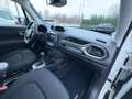 Jeep Renegade 1.3 BENZINA 151 CV CAMBIO AUTOMATICO Weiß - thumbnail 10