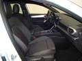 SEAT Leon Nuevo  2.0 TDI 110kW DSG-7 S&S FR XL Vision Blanco - thumbnail 5