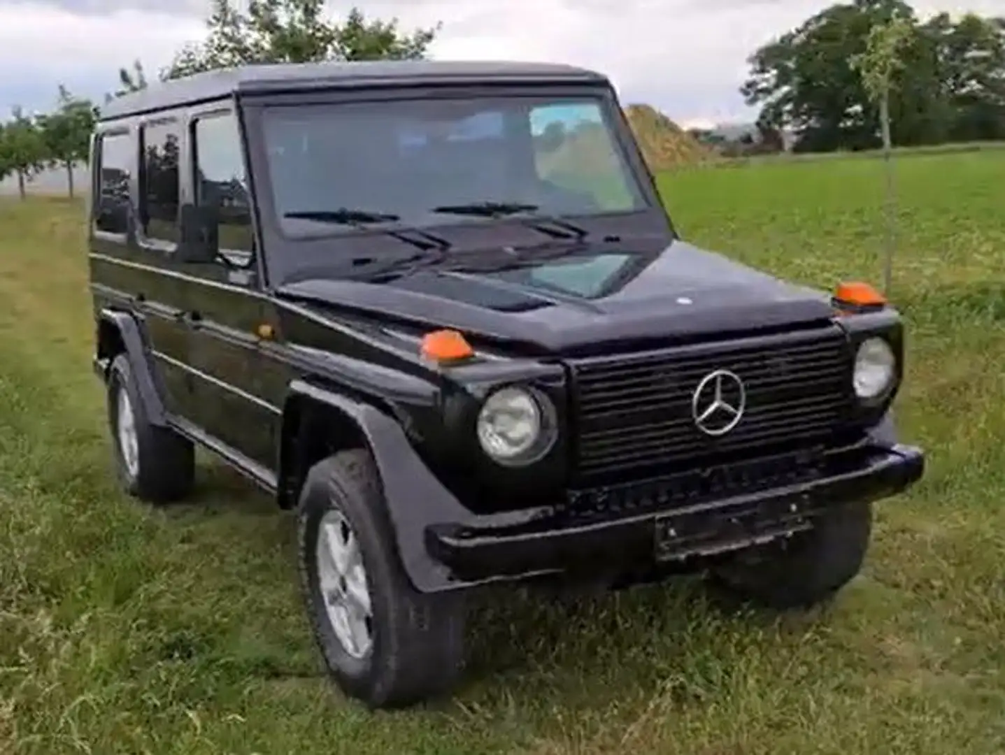 Mercedes-Benz G 250 GD W 460 Noir - 2