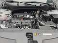 Kia Sportage SPORTAGE 1.6 T-GDI 160 48V 2WD DCT ULTIMATE MJ25 Weiß - thumbnail 16