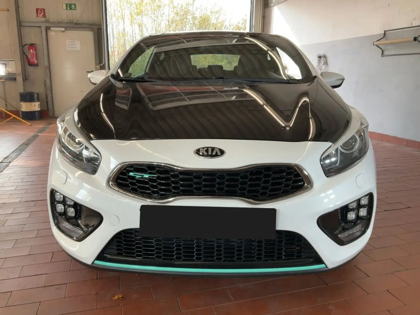 Kia ProCeed / pro_cee'd pro cee'd 1.6 TGDI GT-Track R-Kamera*Pano*Xenon Білий - 2