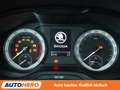 Skoda Kodiaq 1.4 TSI Style 4x4 Aut.*NAV*LED*ACC*CAM*PDC*SHZ Grau - thumbnail 20