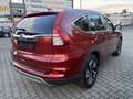 Honda CR-V Executive 4WD Rosso - thumbnail 5