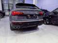 Audi SQ5 SQ5 Sportback 3.0 tdi  Sport quattro tiptronic Grau - thumbnail 7