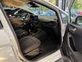 Ford Fiesta Fiesta 1.1 75 CV GPL 5 porte Titanium Blanco - thumbnail 18