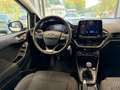 Ford Fiesta Fiesta 1.1 75 CV GPL 5 porte Titanium Blanco - thumbnail 12
