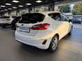 Ford Fiesta Fiesta 1.1 75 CV GPL 5 porte Titanium Blanco - thumbnail 5