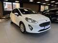 Ford Fiesta Fiesta 1.1 75 CV GPL 5 porte Titanium Blanco - thumbnail 7