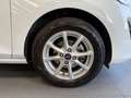 Ford Fiesta Fiesta 1.1 75 CV GPL 5 porte Titanium Blanco - thumbnail 9