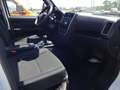 Piaggio Porter NP6/GPL 2650/2200 RIBALTABILE NUOVO PORTER MY 2026 ATTENZIONE: NUOVO MODELLO!!!!!!!  LEGGERE ELENCO ACCESSORI Weiß - thumbnail 9