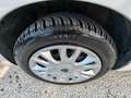 Lancia Ypsilon Ypsilon III 2012 1.2 8v Gold ecochic Gpl 69cv - thumbnail 10