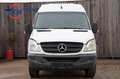 Mercedes-Benz Sprinter 311 CDi Kühlung 0° Aussenstrom Autom. Weiß - thumbnail 6