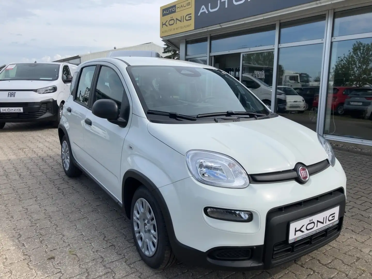 Fiat Panda MY24 1.0 Klima PDC Citypaket Weiß - 2