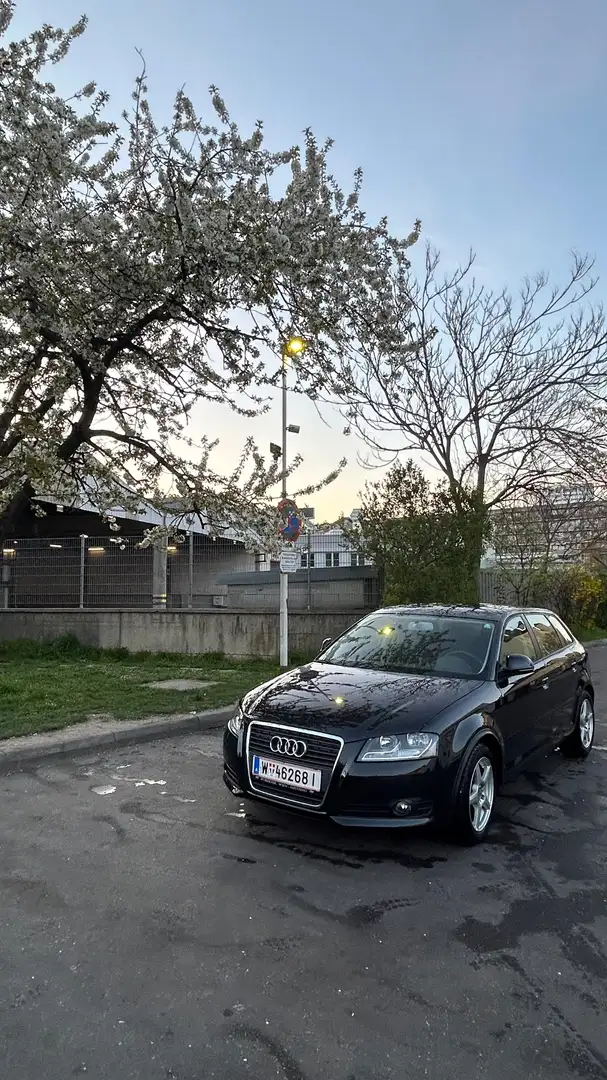 Audi A3 A3 SB 1,6 Ambiente Ambiente - 1