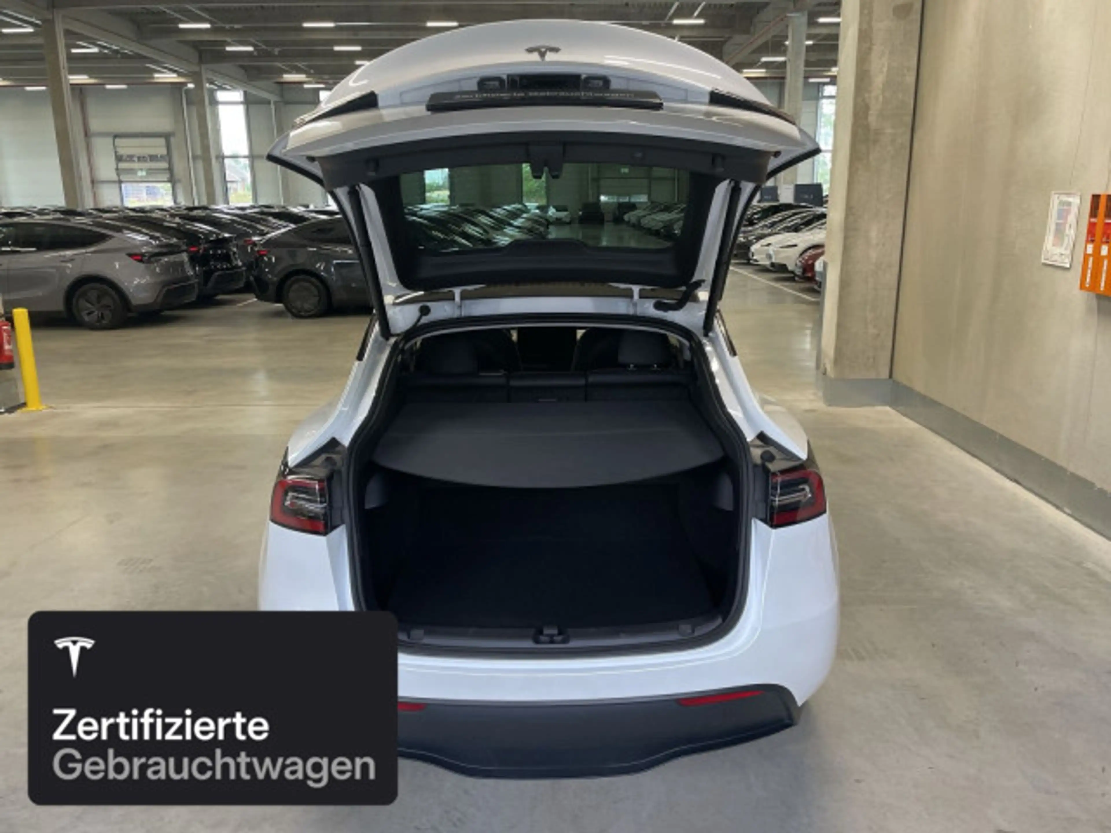 Tesla Model Y Rear-Wheel Drive — photo 9