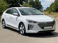 Hyundai IONIQ Elektro Premium *Kamera*Totwinkel*ACC*LED* Білий - thumbnail 3