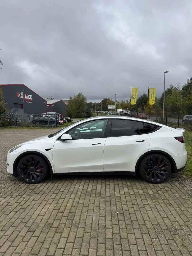 Tesla Model Y Long Range Dual AWD Weiß - 1