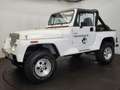 Jeep Wrangler YJ Blanc - thumbnail 32