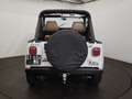 Jeep Wrangler YJ Blanc - thumbnail 35