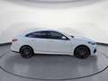 BMW Sonstige 220i xDrive Gran Coupe Aut. EditionCo Navi Leder Weiß - thumbnail 6
