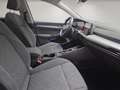 Volkswagen Golf 2.0 TDI IQ/Pano/Lenkhzg./ACC Grau - thumbnail 21