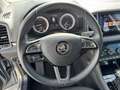 Skoda Karoq Ambition Limited Grau - thumbnail 19