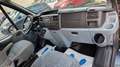 Ford Tourneo Transit Tourneo, Behindertengerecht, Rampe Gris - thumbnail 15