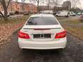 Mercedes-Benz E 500 E 50. AMG Weiß - thumbnail 9