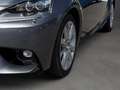 Lexus IS 200 IS 2.5 Hybrid 300h Bi-Xenon Sitzbelüftung Leder Grau - thumbnail 8